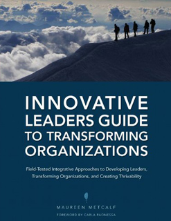 Innovative Leaders Guide To Transforming Organizations